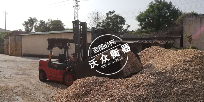 福建裝載機電子秤